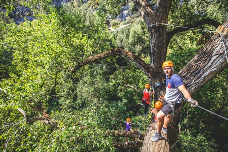 Nice: Adventure park in an exceptional natural setting - Price and value: $29 for hours of real action
