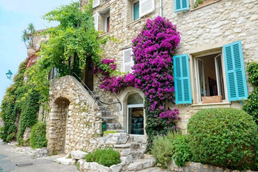 Nice: Cannes, Antibes & St Paul de Vence Half-Day Tour - Price and Logistics: What You’re Paying for at $76