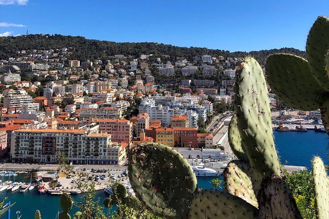 Nice City Best Highlights E-bike Tour - The playful side of town: Statue of Liberty and Cours Saleya