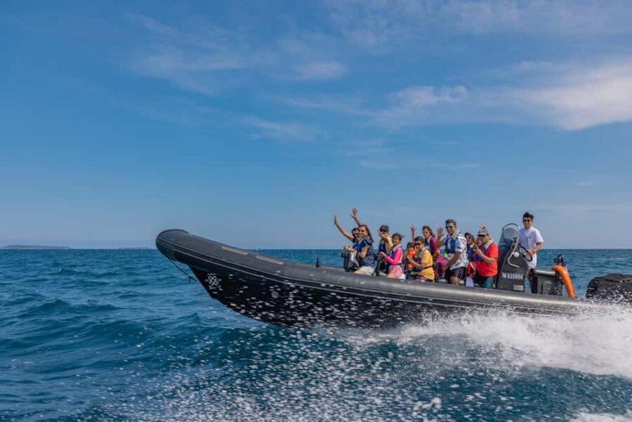 Nice: Coastline Boat Cruise to Monaco - Nice to Monaco on a semi-rigid tender: what the ride is really like
