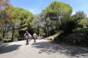 Nice Essentials Guided Electric Bike Tour - Start at Bicicletta Shop concept, Electric Bikes, and get rolling fast
