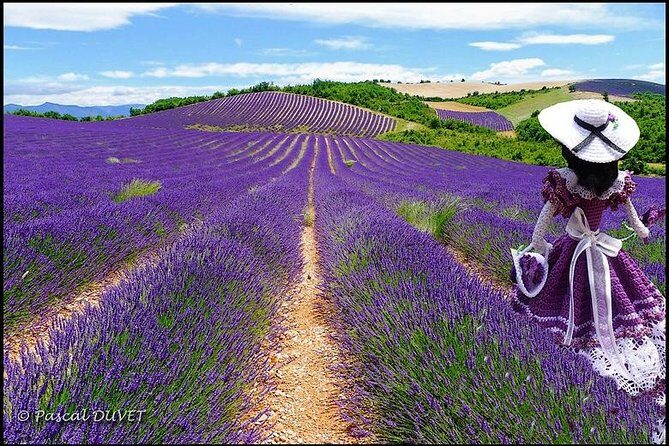 Nice: Gorges of Verdon and Fields of Lavender Tour - Following the Verdon: turquoise river, 700-meter drop, and viewpoint timing