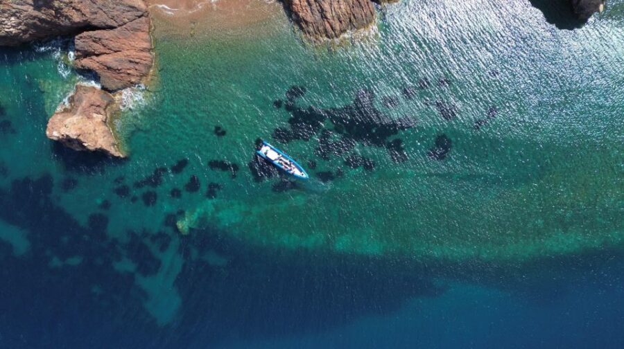 Nice: Lerins Islands Boat Tour with Snorkeling - Key highlights worth planning around