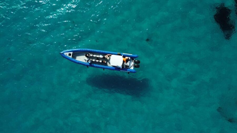 Nice: Lerins Islands Boat Tour with Snorkeling - A 4-hour speedboat day out of Nice that feels like two trips