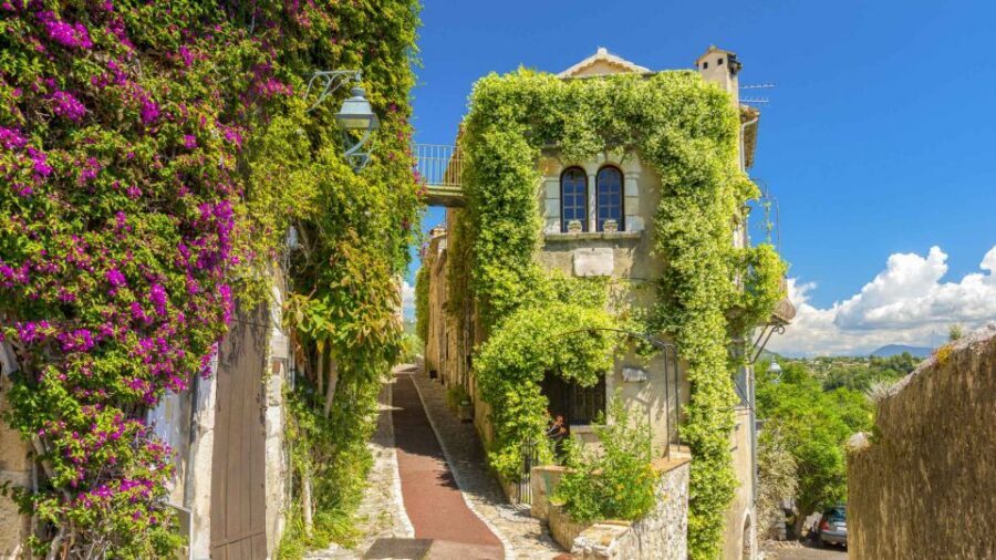 Nice: Medieval Villages Full-Day Guided Trip - Why this Provence route works in just 8 hours