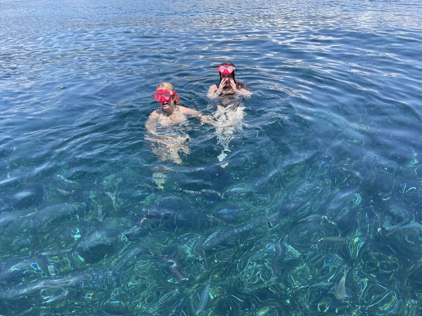 Nice: Monaco & Mala Caves Boat Trip with Snorkeling - Who this trip suits best (and who should skip it)