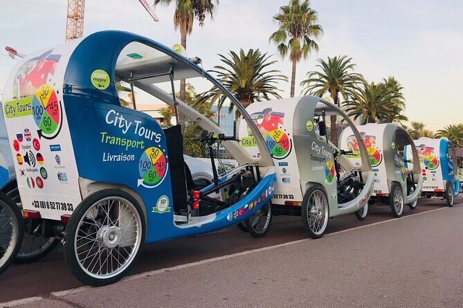 Nice: private guided Tour by electric taxi bike - Markets, Cathedral Views, and That Food-Friendly Break