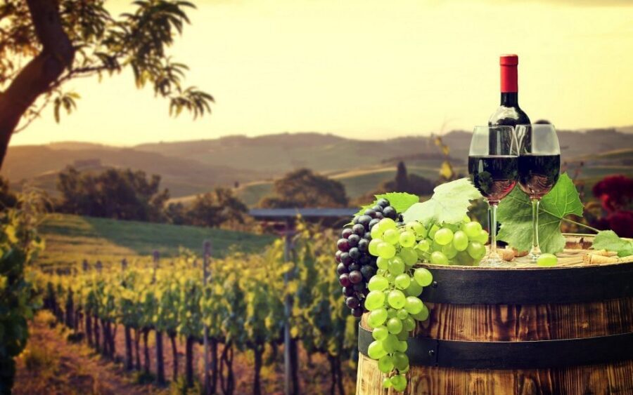 Nice: Provence Village Tour with Wine and Produce Tasting - Key highlights at a glance