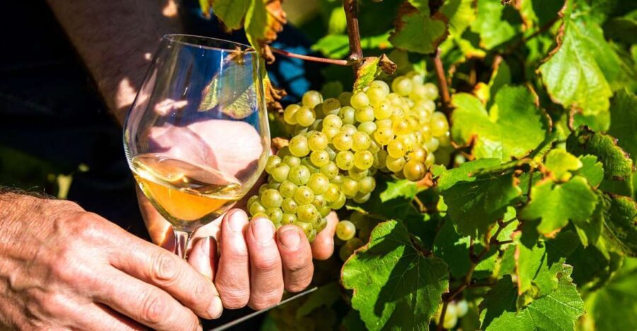 Nice: Provence Village Tour with Wine and Produce Tasting - Morning Pickup in Nice and Biot Glassmaking