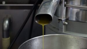 Nice: Provence Village Tour with Wine and Produce Tasting - Opio Olive Groves and a Working 15th-Century Oil Mill