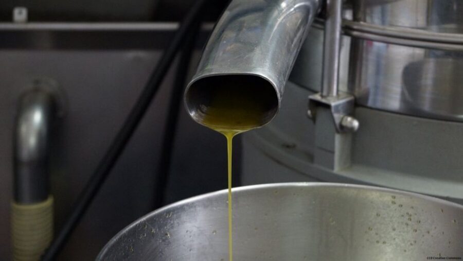 Nice: Provence Village Tour with Wine and Produce Tasting - Opio Olive Groves and a Working 15th-Century Oil Mill