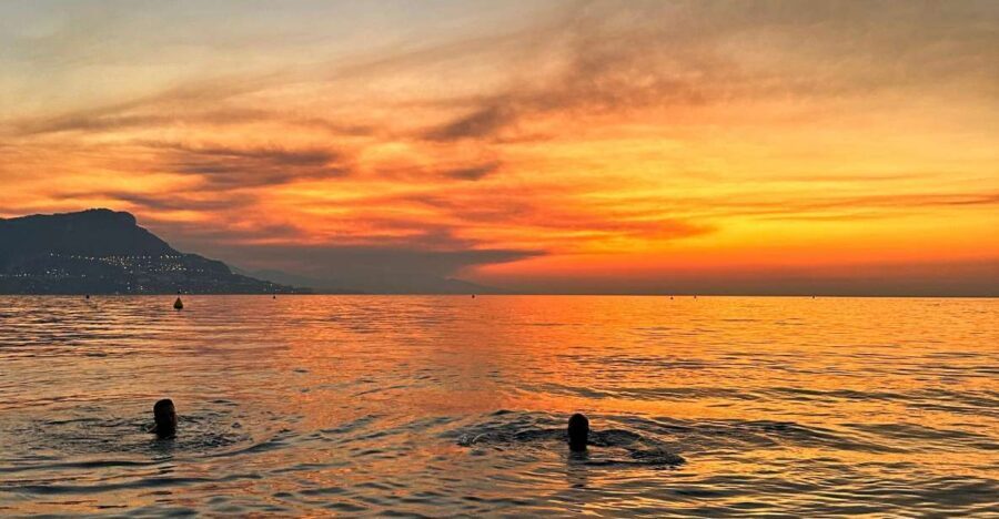 Nice: Saint Jean Cap Ferrat Sunrise Boat Trip with Breakfast - Dolphin watching: how the trip sets up your odds