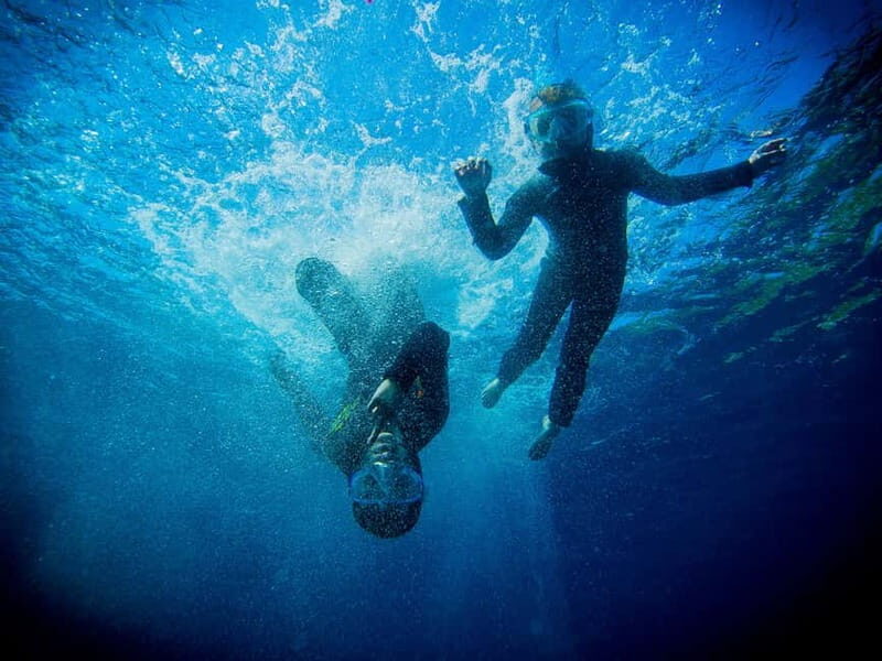 Nice: Snorkeling Speedboat Tour in Villefranche Bay - Key points to know before you go