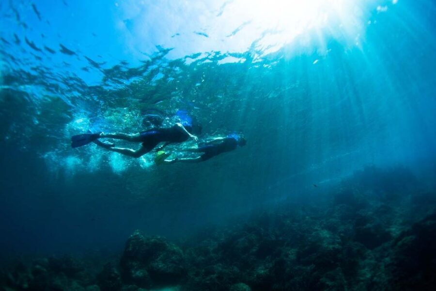 Nice: Snorkeling Speedboat Tour in Villefranche Bay - What could go wrong (and how to plan around it)