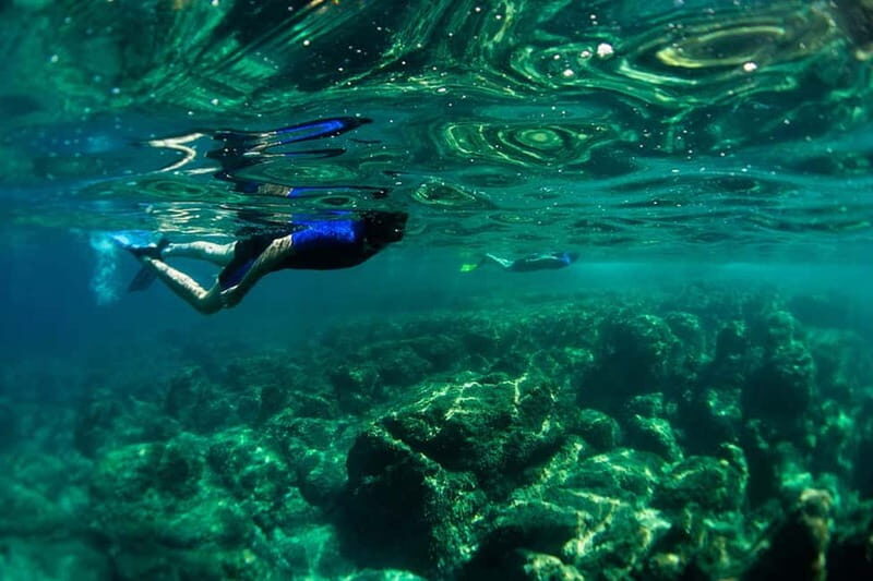 Nice: Snorkeling Speedboat Tour in Villefranche Bay - Gear and instruction: how the tour handles beginners