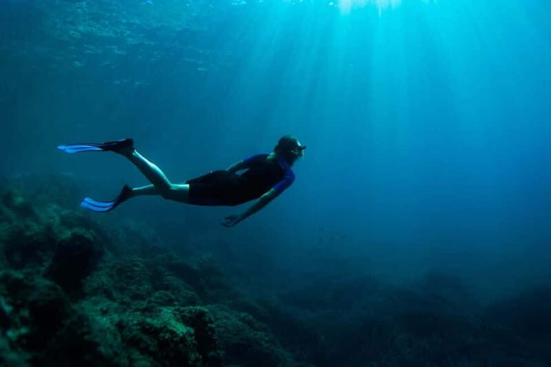 Nice: Snorkeling Speedboat Tour in Villefranche Bay - Stop 4 and Stop 5: the return cruise and back to the dock