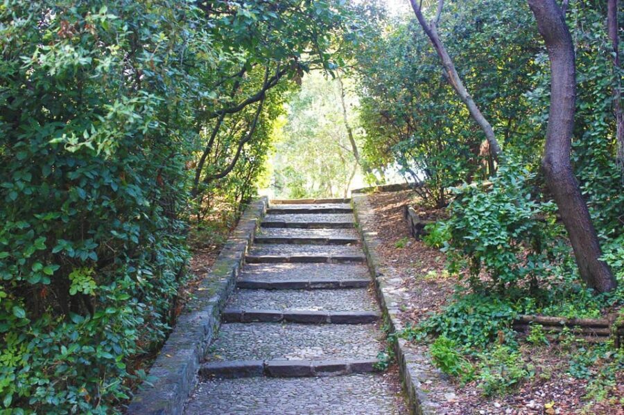 Nice: Theatrical History Tour - Secrets of the Castle Hill - Castle Hill in 75 Minutes: How the Tour Uses the Colline du Château Area