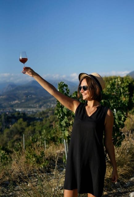 Nice: Vineyard Tour with Wine Tasting - Key Highlights Worth Booking For