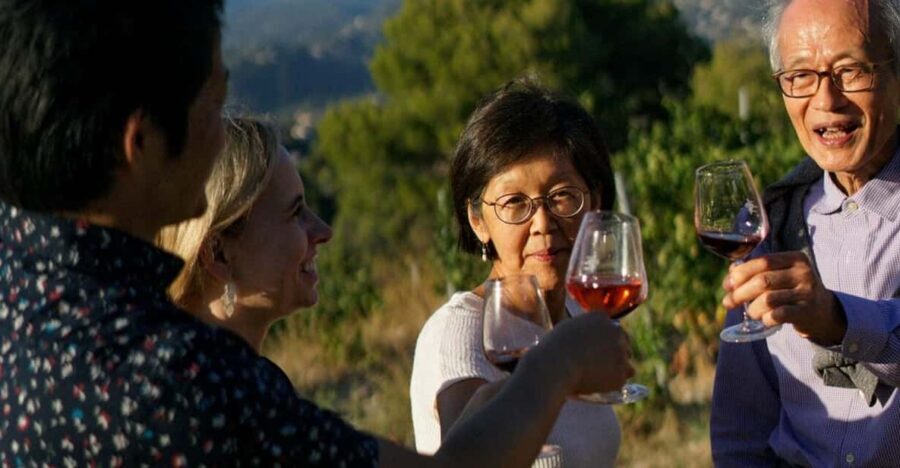 Nice: Vineyard Tour with Wine Tasting - Why Château de Bellet Fits the Best-Value Nice Wine Day