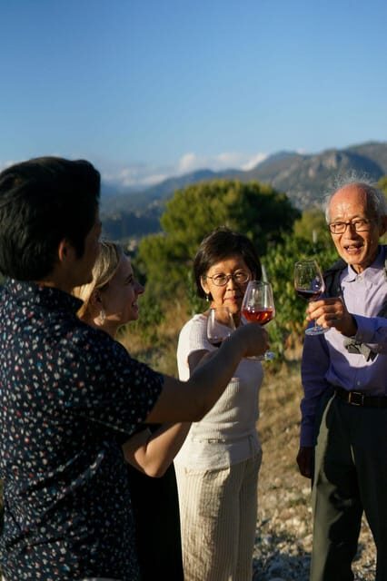 Nice: Vineyard Tour with Wine Tasting - The Bellet Vineyard Walk: What You Learn While You Look