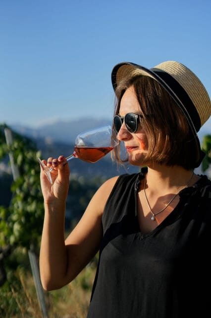 Nice: Vineyard Tour with Wine Tasting - Inside the Winery Areas: Barrels, Machinery, and the Production Steps