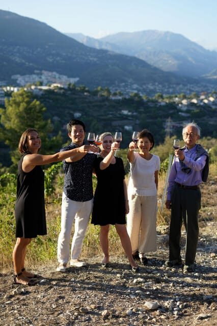 Nice: Vineyard Tour with Wine Tasting - Price, Value, and What You Actually Get for $38
