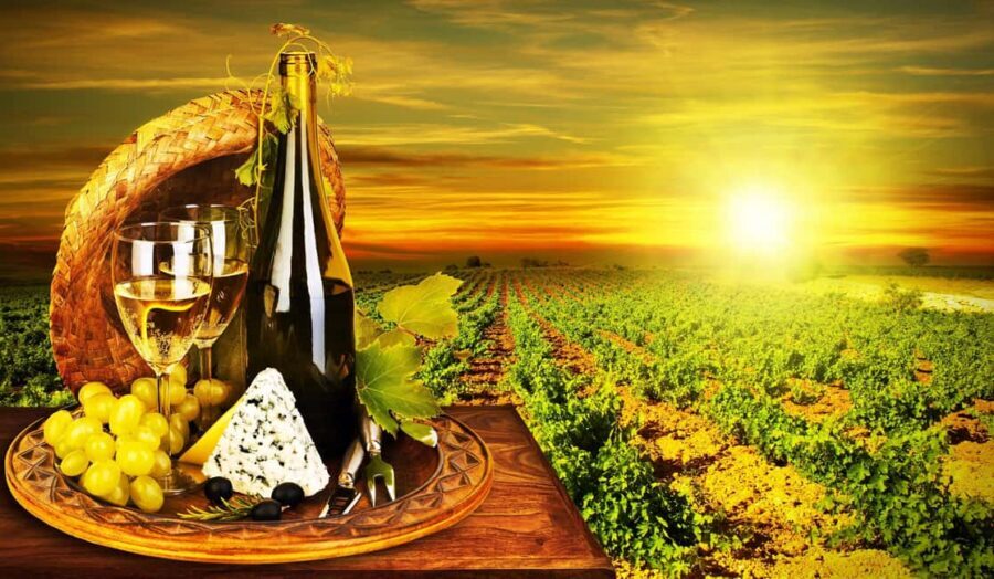Organic Wine Tasting with Saint paul Half Day Tour from Nice - The organic wine estate in Saint-Jeannet: 6 wines and the sun-powered story