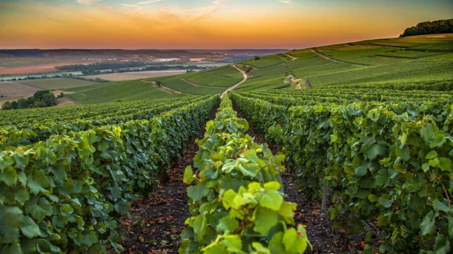 Organic Wine Tasting with Saint paul Half Day Tour from Nice - Saint-Paul-de-Vence: hilltop village time, art energy, and quick photo strategy