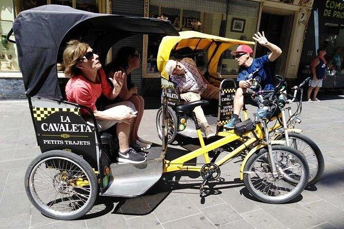 Original Nice city tour ( pedicab-vélo taxi) - When This Tour Might Not Be Your Best Fit