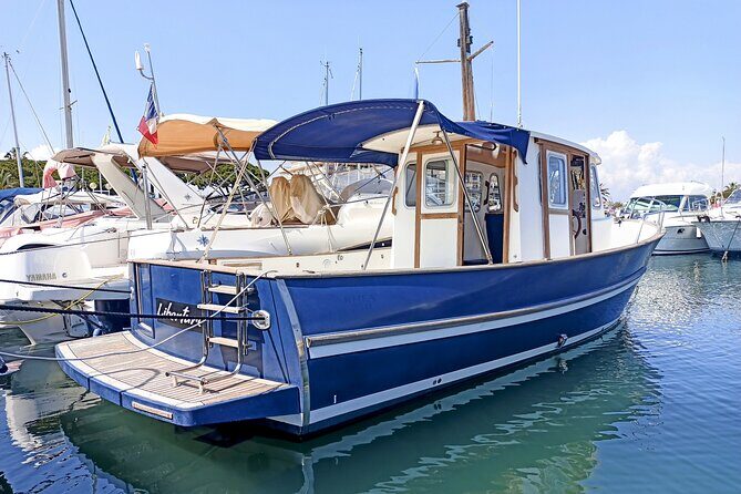 Private Boat Tour Cannes Lerins Islands - Lerins Islands from the water: more than a scenic drive