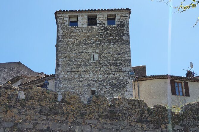 Private Customized French Riviera Tour from Port of Cannes 8H - Nice old town, the promenade, and the Russian Cathedral viewpoints