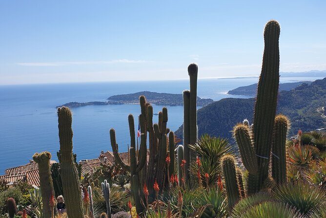 Private Day Trip Italian Riviera - Menton’s Lemon City Old Town: Old Lanes, Colorful Townhouses, and Cobblestones