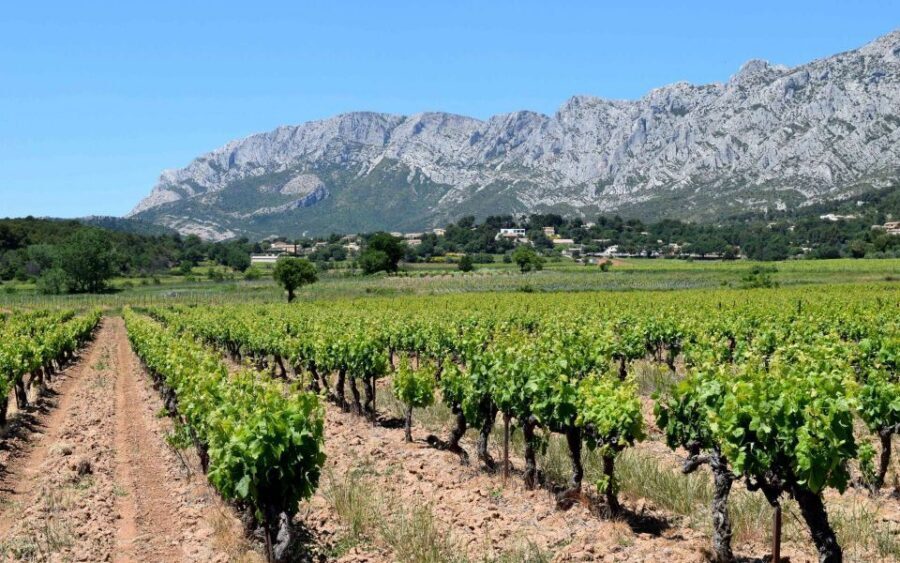 Private Day Trip to Provence and Lavender Fields - Lunch time: how to make it work when the day runs long