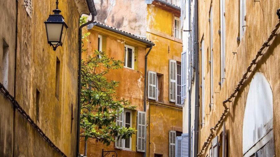 Private Day Trip to Provence and Lavender Fields - Lavender fields: the reason this tour exists