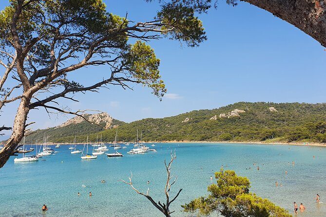 Private full-day boat trip to Porquerolles - Privacy for up to 11: why the group size matters