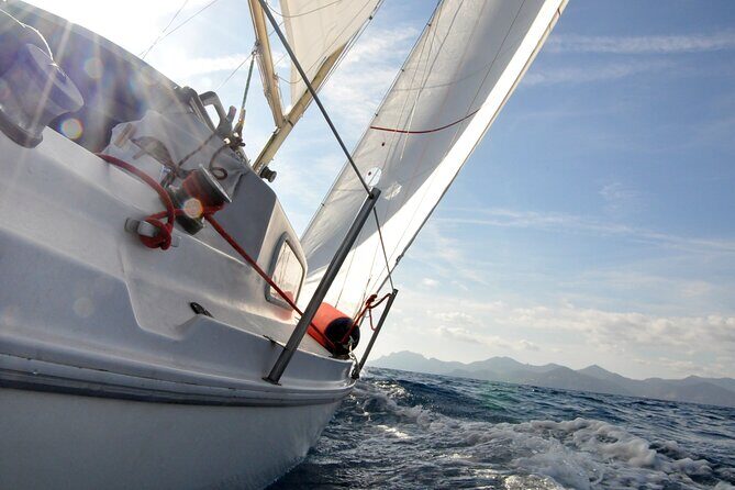 Private sailing excursion & Provencal picnic - The underwater eco-museum: a small cultural twist