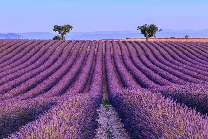 Private Tour of Gorges of Verdon and Fields of Lavender in Nice - Key things that make this tour work