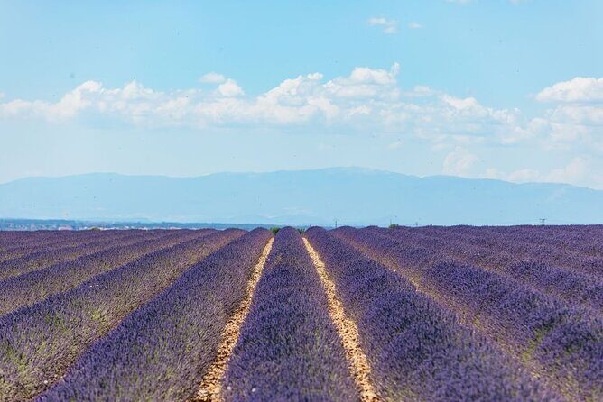Private Tour of Gorges of Verdon and Fields of Lavender in Nice - Why the Gorges du Verdon plus lavender combo is such a smart day from Nice