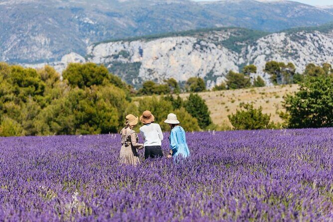 Private Tour of Gorges of Verdon and Fields of Lavender in Nice - Plateau de Valensole: lavender fields, photo time, and the season question