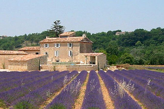 Provence and Lavender - private & Guided Full Day Tour - Key Highlights You’ll Actually Care About