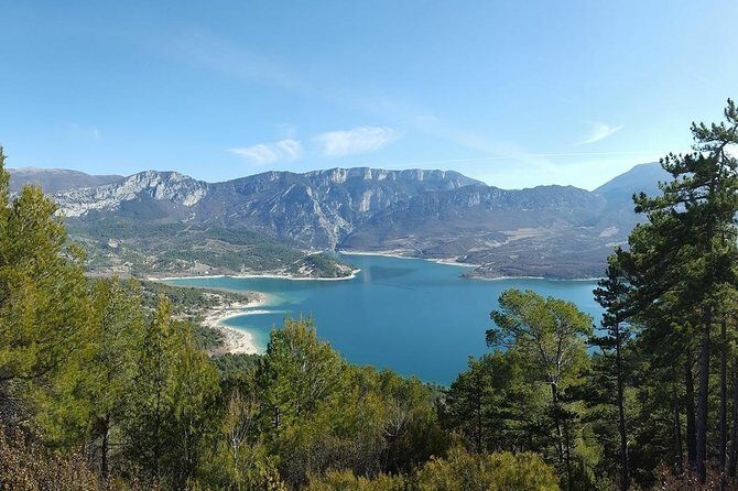 Provence and Lavender - private & Guided Full Day Tour - Who This Tour Fits Best (and Who Might Want Something Different)