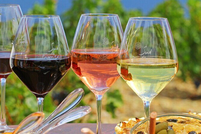 Provence Organic Wine Tasting Half Day Tour from Nice - Key highlights worth knowing before you go