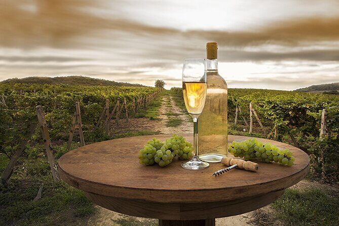 Provence Organic Wine Tasting Half Day Tour from Nice - St-Paul-de-Vence: the Provençal village stop that can be rushed