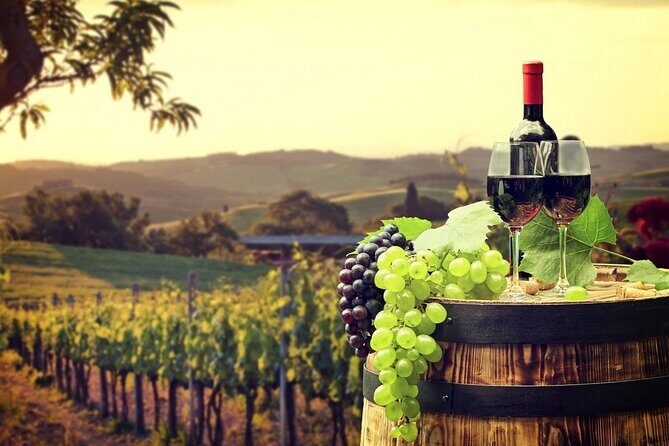 Provence Organic Wine Tasting Half Day Tour from Nice - Saint-Jeannet organic winery: what you’ll actually do there