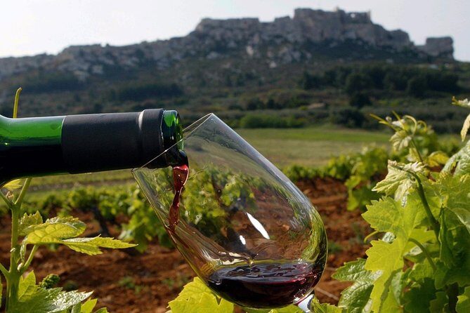 Provence Private Full Day Wine Tour with Wine Tasting - Key highlights worth planning around