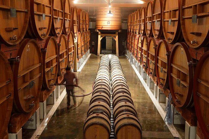 Provence Private Full Day Wine Tour with Wine Tasting - How the private 7-hour wine day starts in Nice