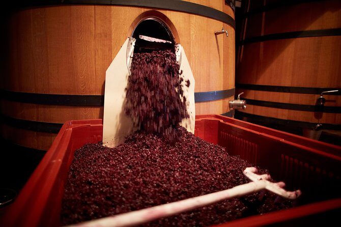 Provence Private Full Day Wine Tour with Wine Tasting - Les Arcs sur Argens and the Var wine-growing zone