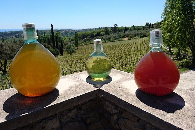 Provence Wine Tour - Private Day Tour from Antibes - Price and Value: What You’re Paying For (and Why It’s Not Just “Wines”)
