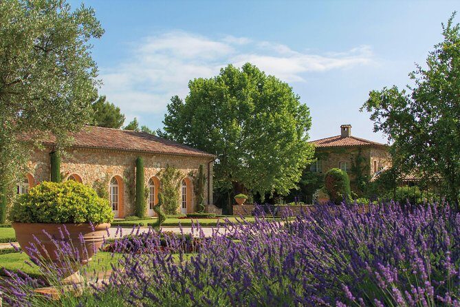 Provence Wine Tour - Private Day Tour from Cannes - The Tasting Masterclass: How You’ll Learn to Taste Like a Pro (Without Pretending)