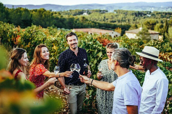 Provence Wine Tour - Private Day Tour from Nice - Private Provence wine tour from Nice: what your day is really like
